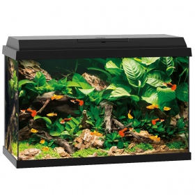 Juwel Primo 70 - LED Aquarium