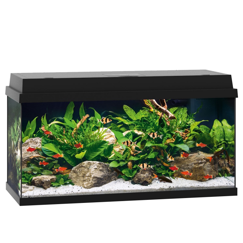 Juwel Primo 110 LED Aquarium black