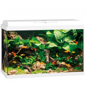 Juwel Primo 70 bianco - acquario moderno