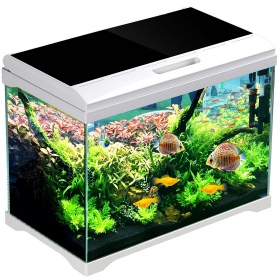 SunSun Supreme AquaPlant 19l Aquarium-Set für Pflanzen