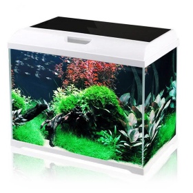 SunSun Supreme AquaPlant 19l aquarium set