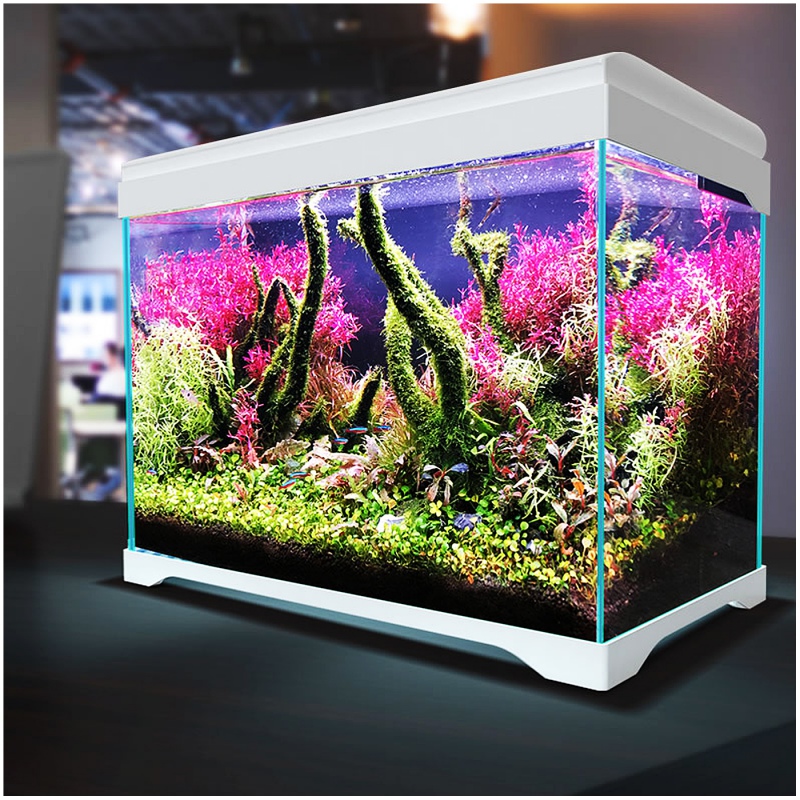 SunSun Supreme AquaPlant 19l aquarium set