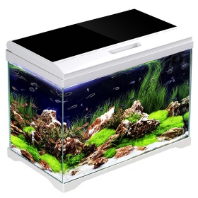 SunSun Supreme AquaPlant 19l aquarium set