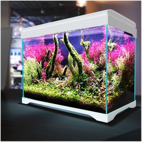 SunSun Supreme AquaPlant 30l - Aquarium Set