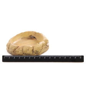 Tigela Terrario FoodStone XS - 8x7x2,5 cm