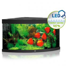 Juwel Trigon 350 LED - Aquarium 350L