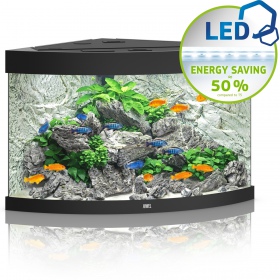 Juwel Trigon 190 LED Noir - Aquarium