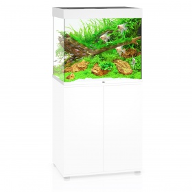 Juwel Lido 200 LED White Aquarium - Stylish Design