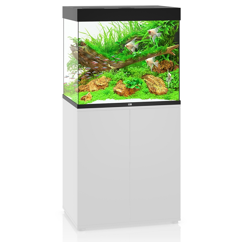 Juwel Lido 200 LED - black aquarium