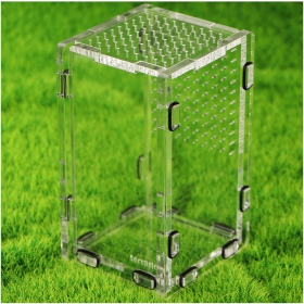 Terrario Mantis Area S - Acrylic Terrarium