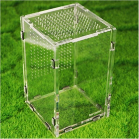 Terrarium Mantis Area L pour insectes