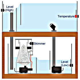 AutoAqua Sensor de Temperatura