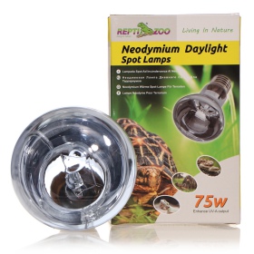 Repti-Zoo Neodymium Daylight 75W - żarówka grzewcza neodymowa