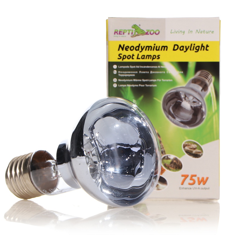 Repti-Zoo Neodymium Daylight 75W - żarówka grzewcza neodymowa