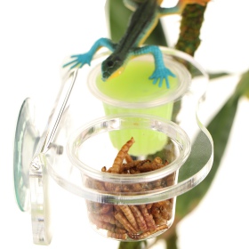 Terrario Gecko Bar Duo - hanging bowl