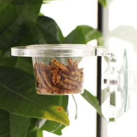 Terrario Gecko Bar Invisible - Hanging Bowl