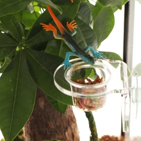 Terrario Gecko Bar Invisible - Hanging Bowl