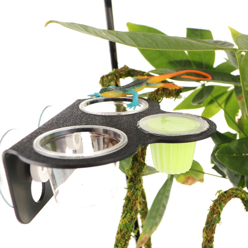 Terrario Gecko Bar Trio Black - Hanging Bowl