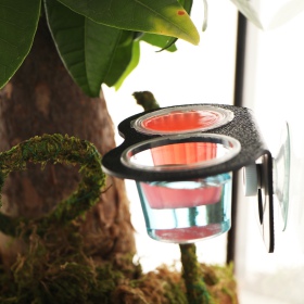 Terrario Gecko Bar Duo Jelly - hanging bowl