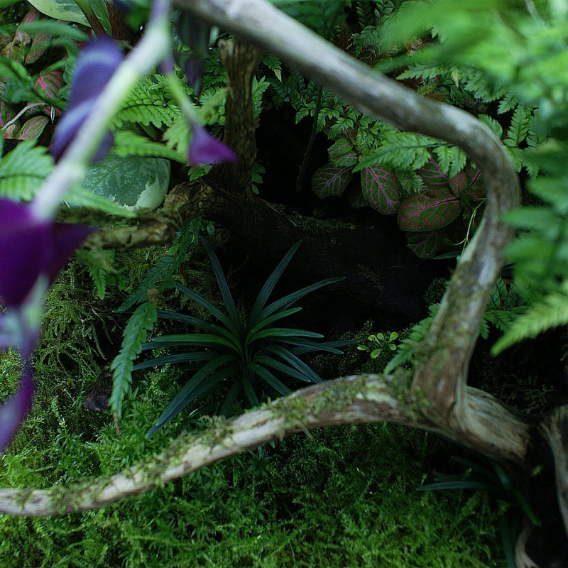 YOKUCHI TENSUI MIST - Preparador de plantas