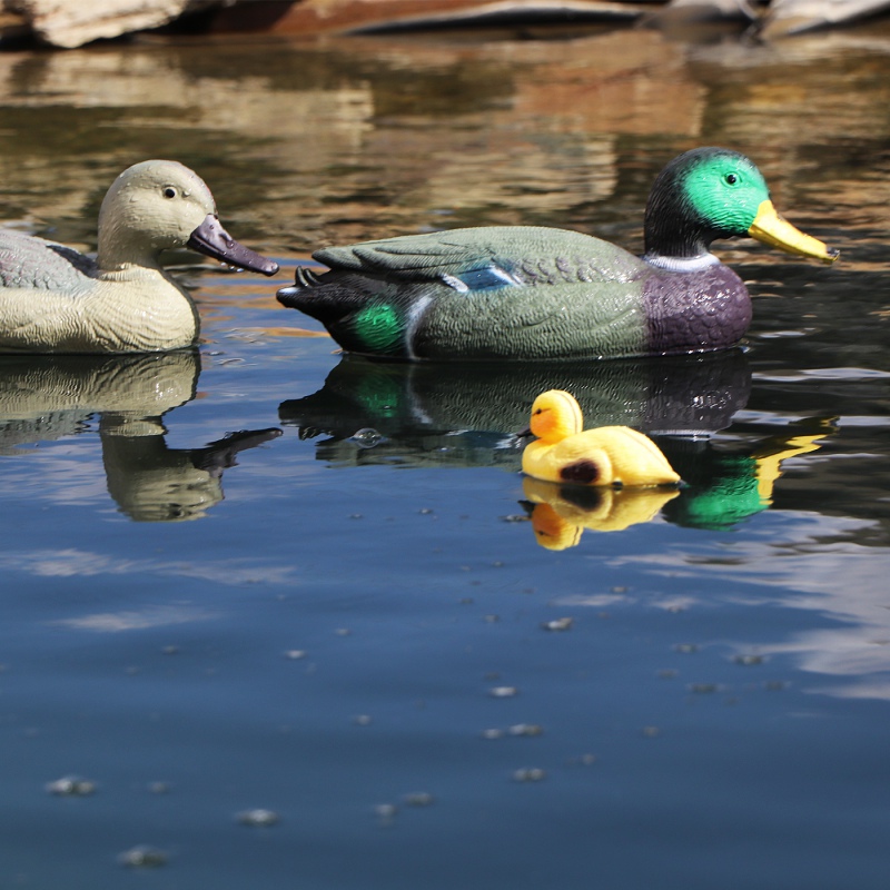 Oase Pond Figures Duck Drake - pływająca ozdoba