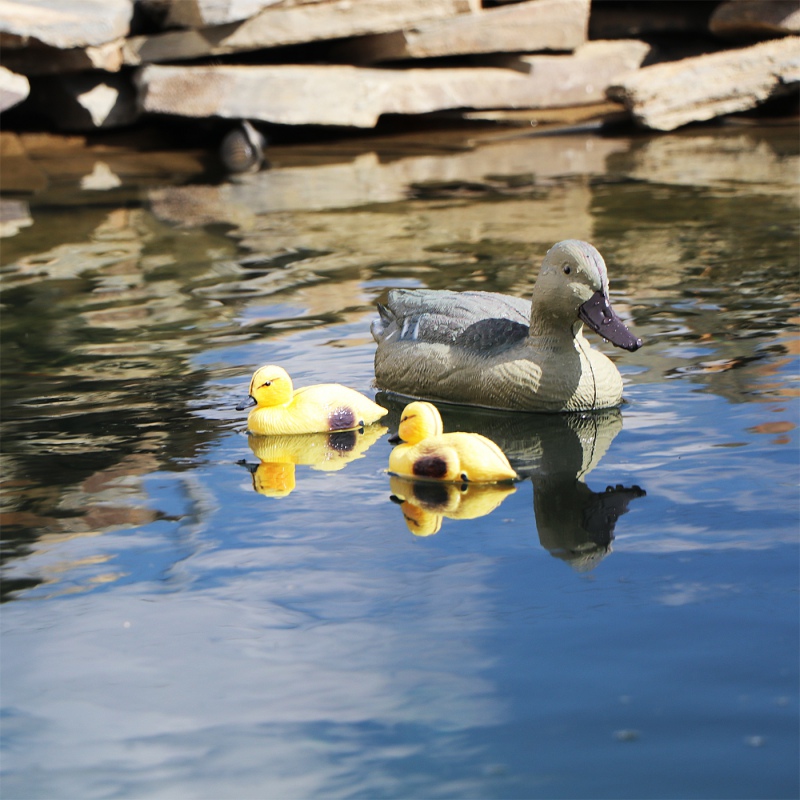 Oase Pond Figures Duck Female - pływająca ozdoba