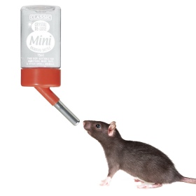 Classic Drinking Bottle - Non-Drip Water Bottle for Rodents