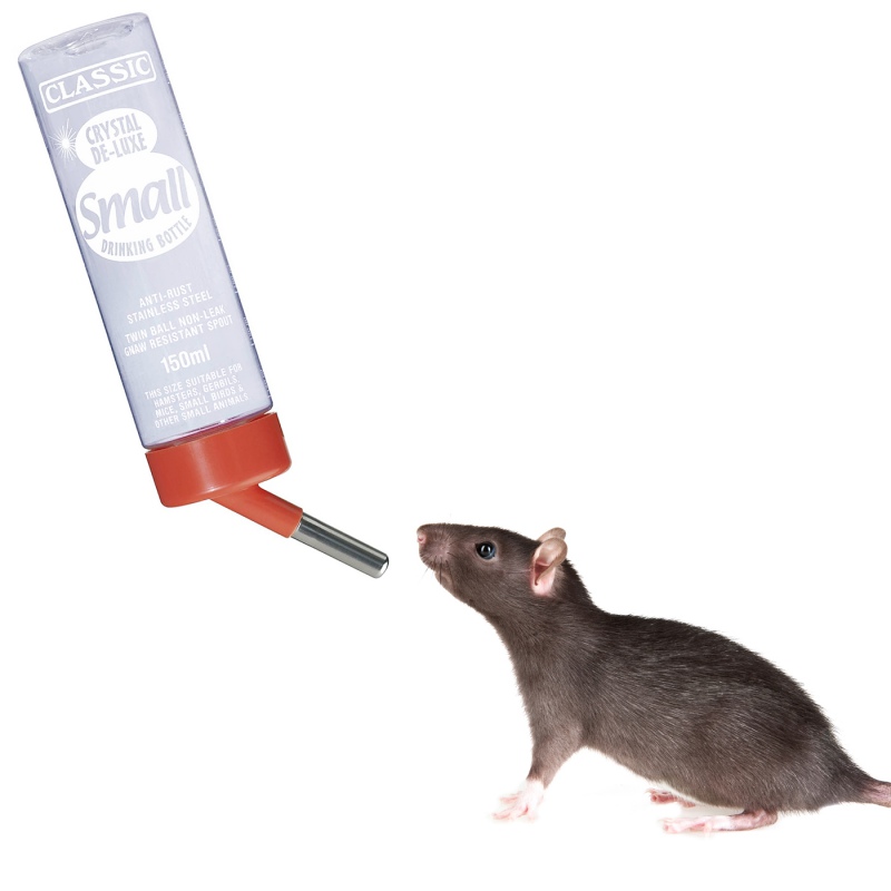 Non-dripping water bottle 150ml for rodents