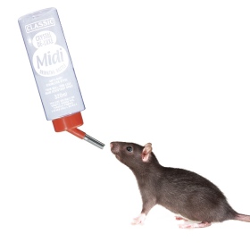 Non-drip water bottle 320ml for Rodents