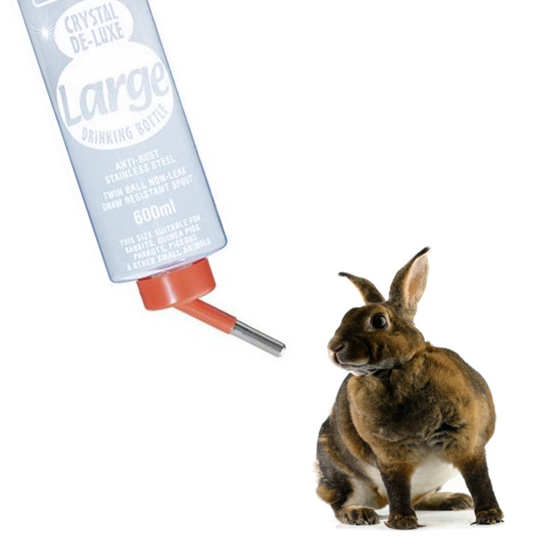 Classic 600ml - Drinking bottle for rodents