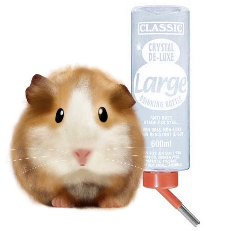 Classic 600ml - Drinking bottle for rodents