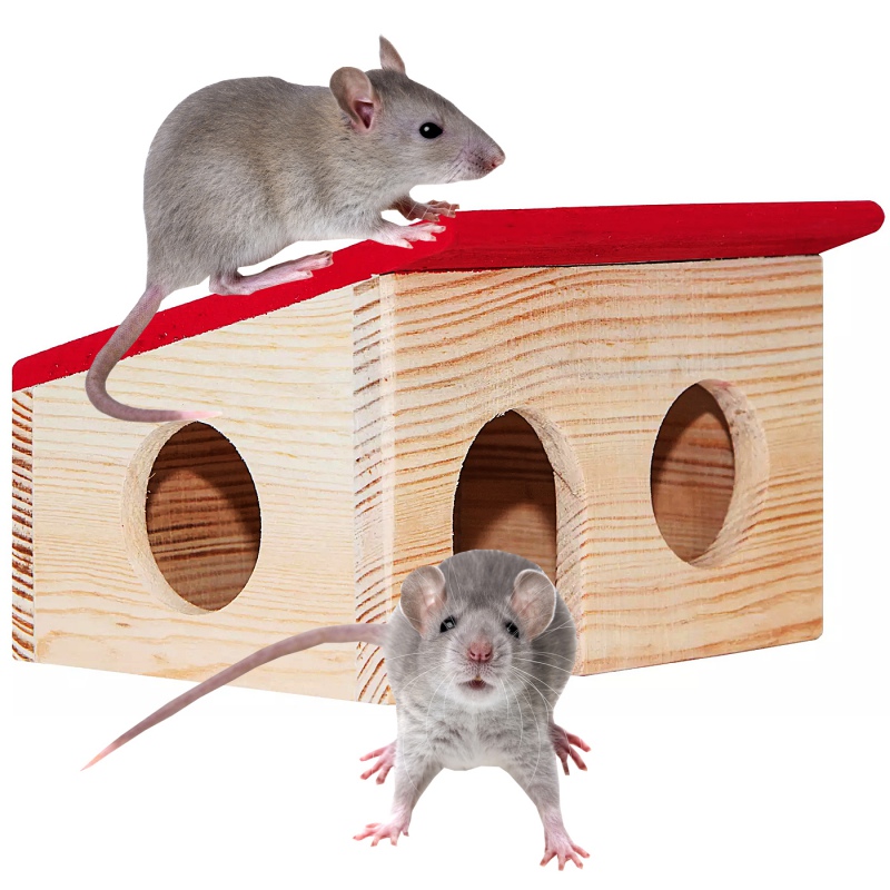 Wooden House for Rodents - Nature Home S