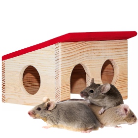 Wooden House for Rodents - Nature Home S