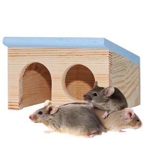 Maison en bois Nature Mouse pour rongeurs