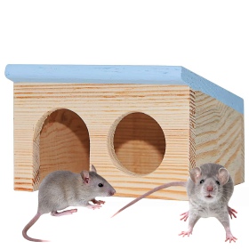 Nature Mouse Home S - casa de madera