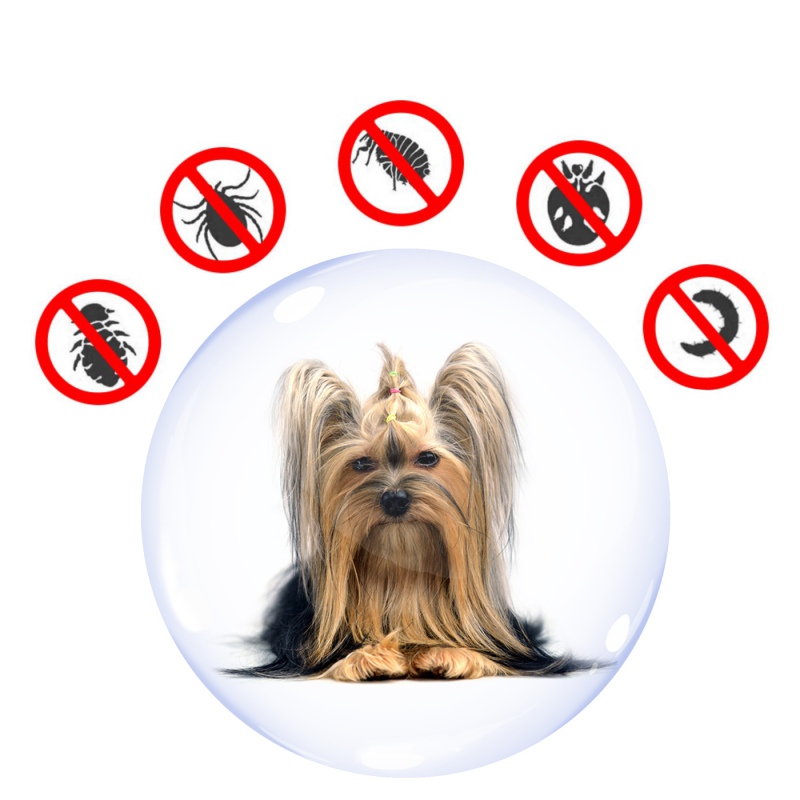 Sabunol - Flea Drops for Small Dogs