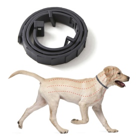 Colar Sabunol Protect 50cm para cães