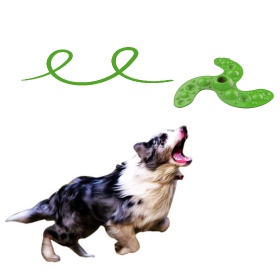 Indestructible Ninja Frisbee for Dogs