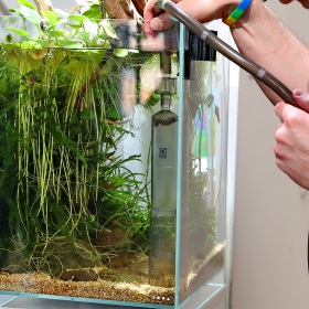 JBL AquaEX Set - Aquarium Siphon