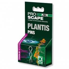 JBL ProScape Plantis - akva taimed