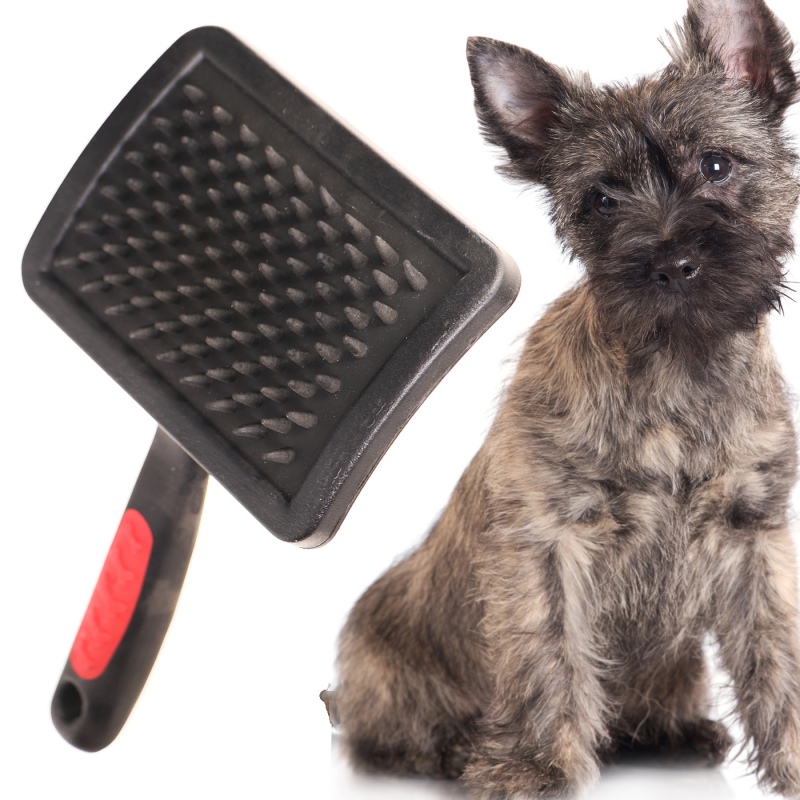 Lupipets Soft Brush L - Brush for Your Pet