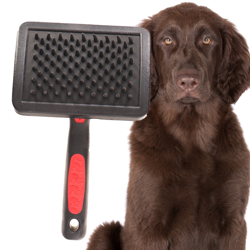 Lupipets Soft Brush L - Brush for Your Pet