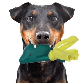 Jouet pour chien Lupipets Super Dauphin