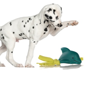 Juguete chirriante para perros Lupipets