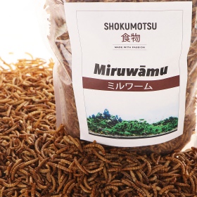 SHOKUMOTSU Miruwamu 20g - Meelwormlarven