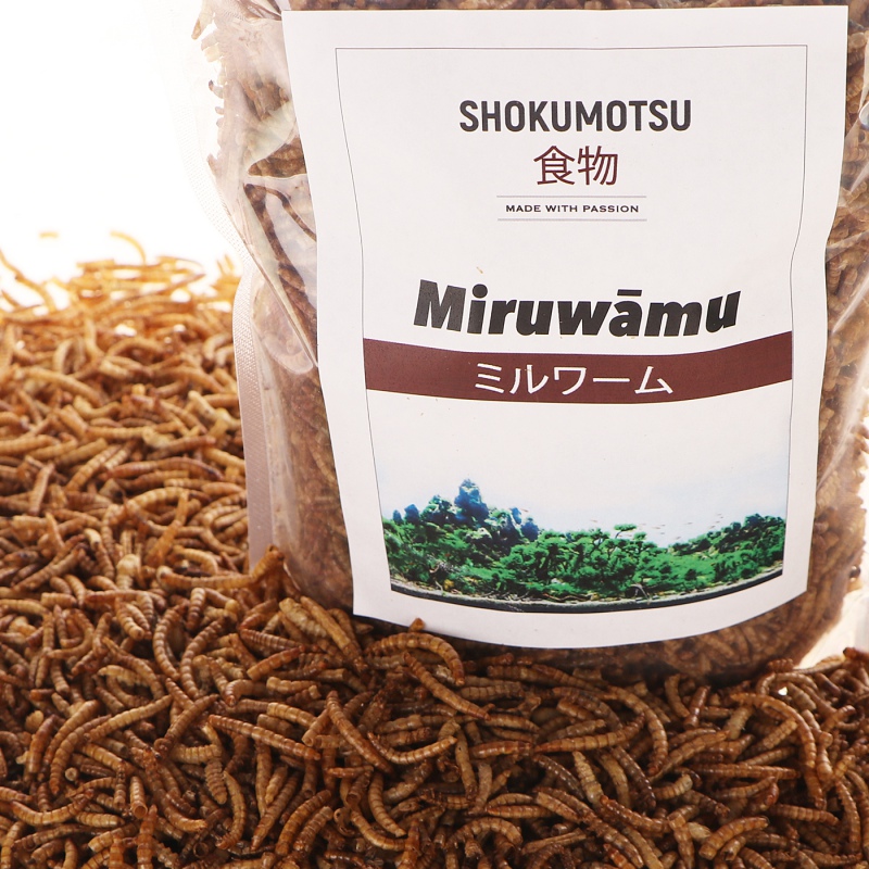 SHOKUMOTSU Miruwamu 20g - alimento para répteis