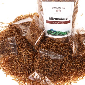 SHOKUMOTSU Miruwamu 20g - Premium Futter für Reptilien