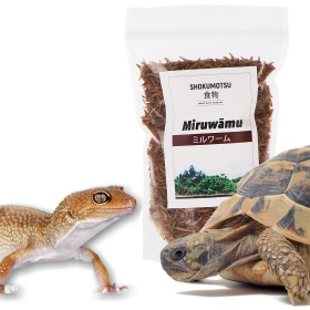 SHOKUMOTSU Miruwamu 20g - Premium Food for Reptiles