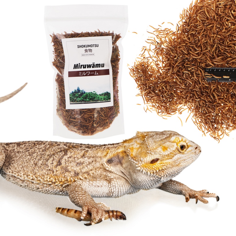 SHOKUMOTSU Miruwamu 20g - Premium Food for Reptiles