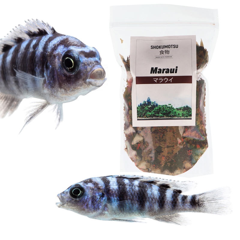 Premium-Futter SHOKUMOTSU 220ml für Malawi-Fische